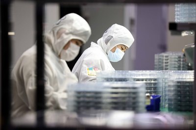 安徽合肥 多措并舉保供穩產 技術開發助力高質量發展